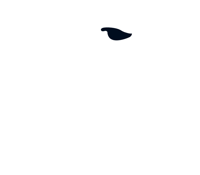 Eagle-mobile